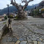 Prázdninový dům Platanos Nest -pet Friendly Pýli