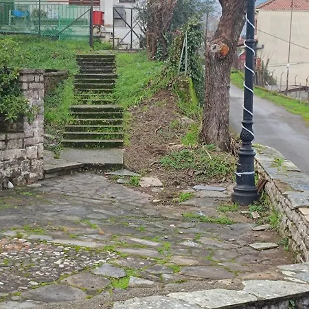 Platanos Nest -pet Friendly