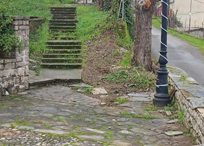 Platanos Nest -pet Friendly